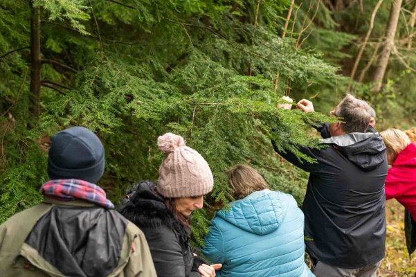 Foraging and Wild Foods Course 2026 Handwritten Voucher image