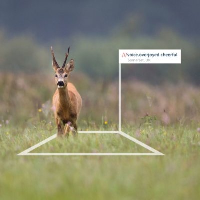 OPTIONAL EXTRA - Heal 3x3 square image