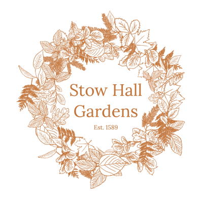 SHG logo