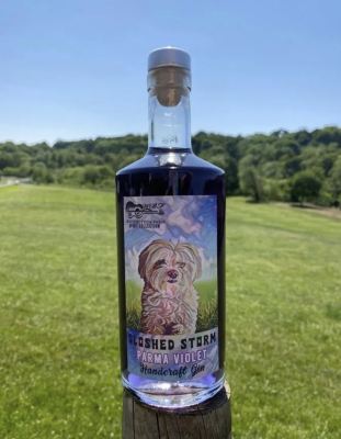 Sloshed Storm Parma Violet Gin