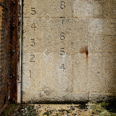 Gift Voucher for our Dock Tour image
