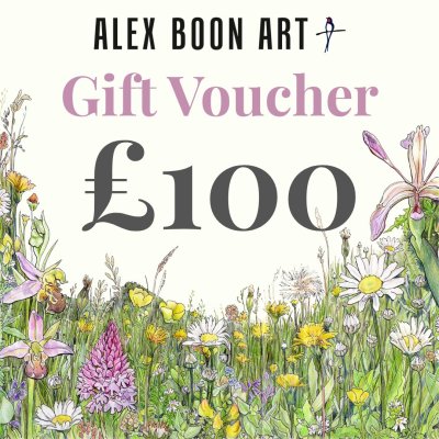 Gift voucher £100 image