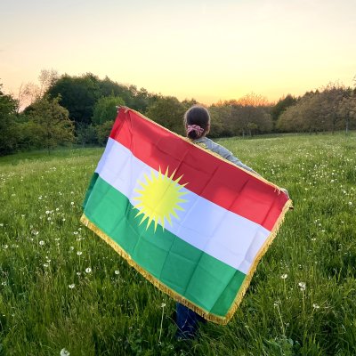 Kurdistan Flagge mit Fransen image