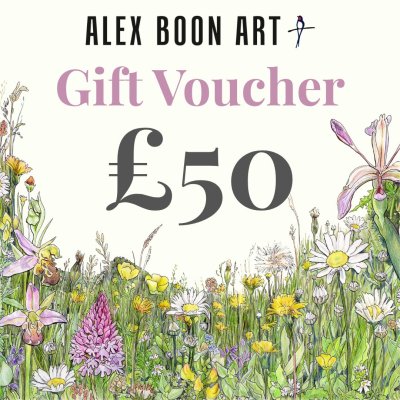 Gift Voucher £50 image