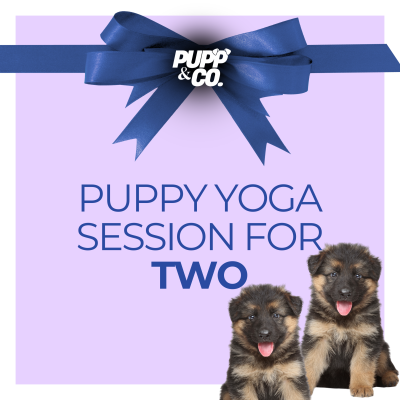 Puppy Yoga Gift Voucher