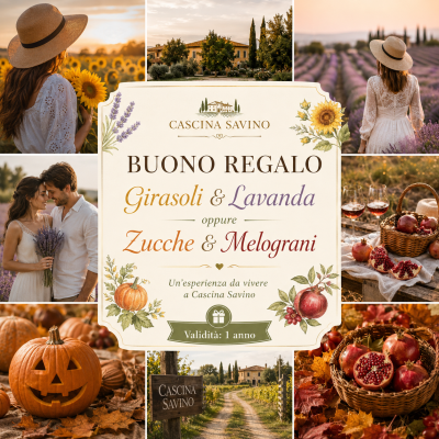 🎁 Buono regalo campi 🌻💜🎃🍎 + aperitivo 🧺🍷 - 👤 Per 1 persona image