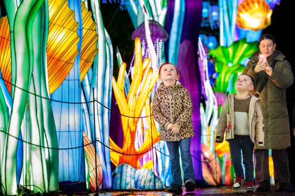 Family Giant Lanterns Gift Voucher image