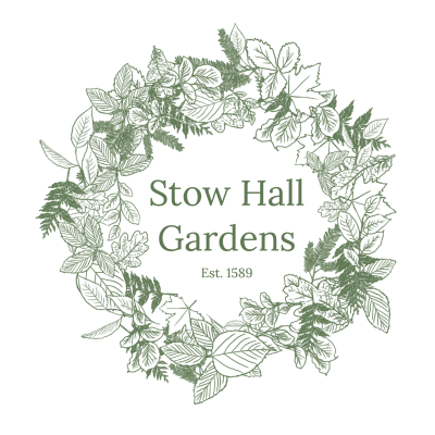 SHG logo