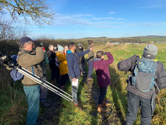 Wildlife walk with Nick Patel - voucher image