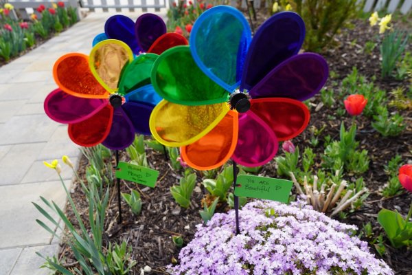 Pinwheel Path