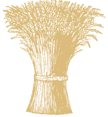event_description_image_120755_1790573479_77505.png