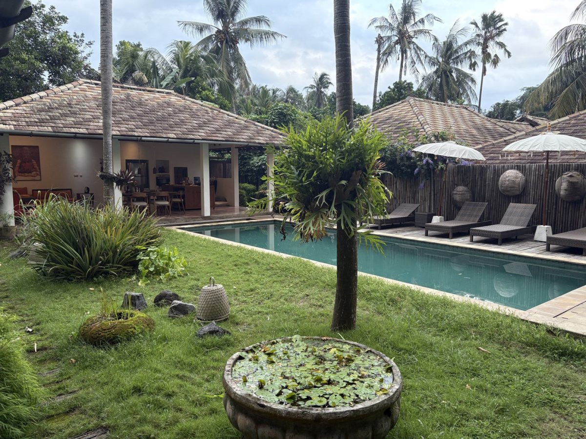 The garden and pool