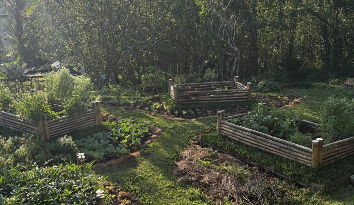 The permaculture gardens