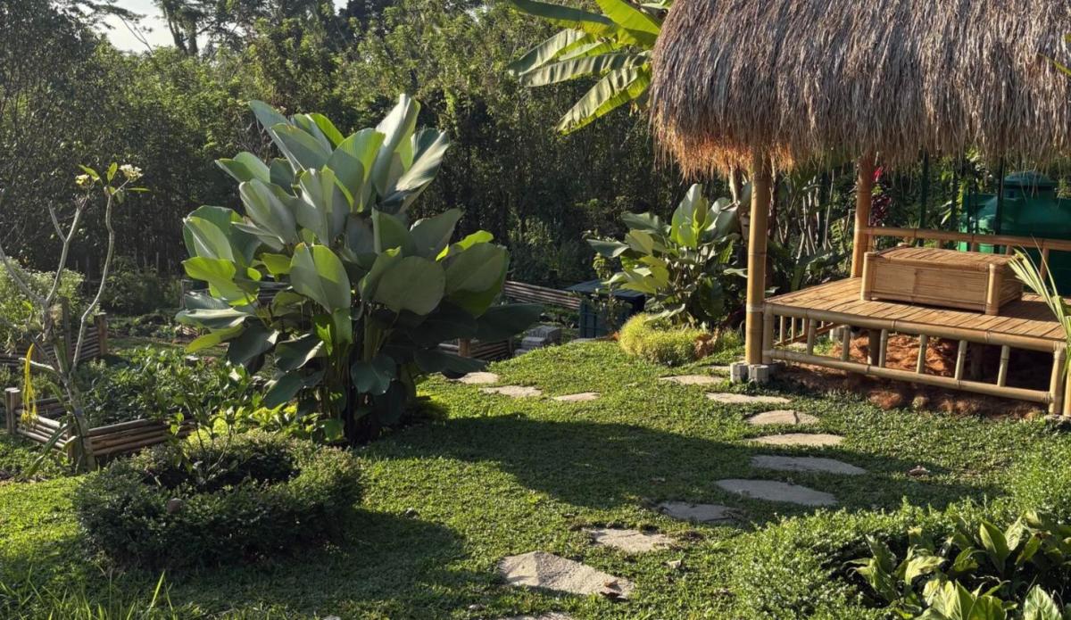 ANEW gardens