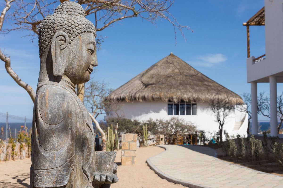 The garden and the shala