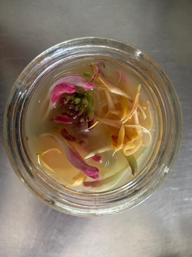 event_description_image_108891_1773929163_2488c.jpeg?_a=BAAE6HDQ