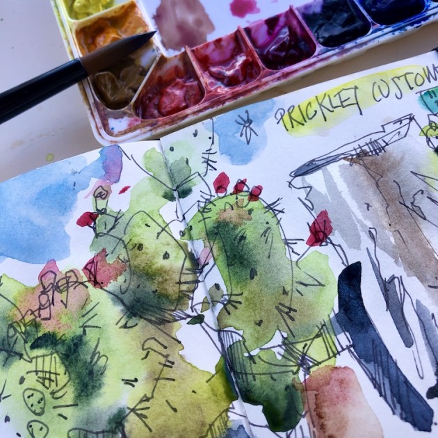 A sketch of a cactus