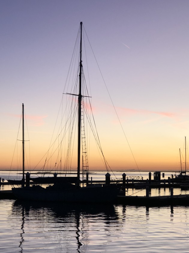 Boat in olhao