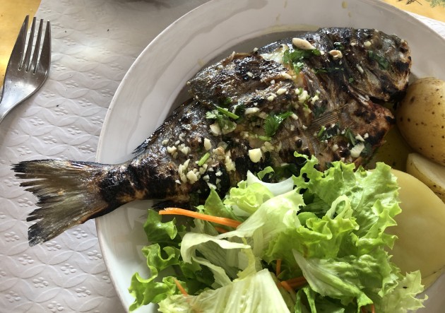 Fish in Olhao