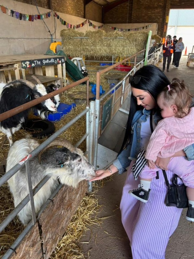A mother hand feeding an adult cashmere goat whilst holding her infant in a goat barn at goats in coats festival