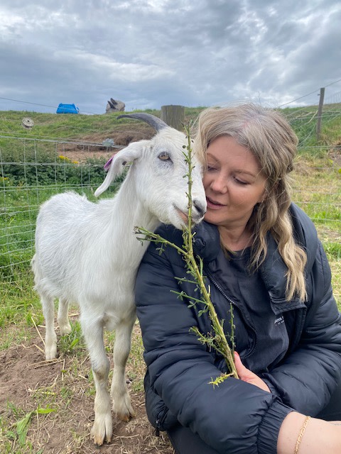 A farm visitor cuddling into a friendly goat