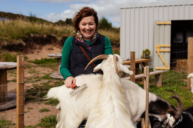 Cashmere farmer combing her cashmere goats
