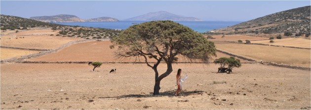 A woman stands under a tree reading poetry
