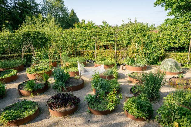 event_description_image_163117_1769788345_33f80.jpg?_a=BAAE6HDQ