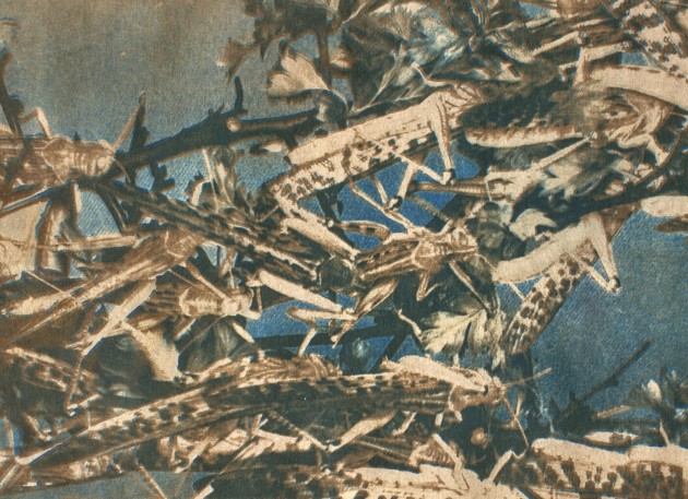 event_description_image_163117_1774885322_9a764.jpeg?_a=BAAE6HDQ