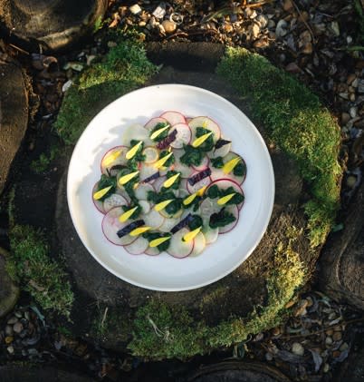 event_description_image_163117_1777298460_db493.jpg?_a=BAAE6HDQ