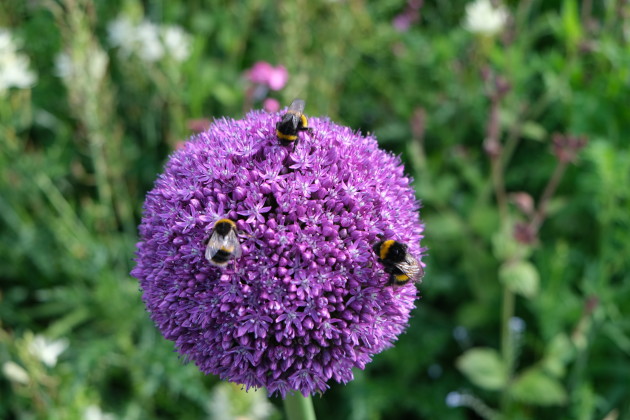 event_description_image_163117_1777355554_f4192.jpg?_a=BAAE6HDQ