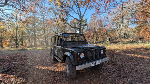 Land Rover Defender in the woods