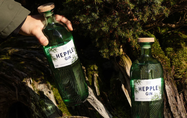 Two bottles of Hepple Gin
