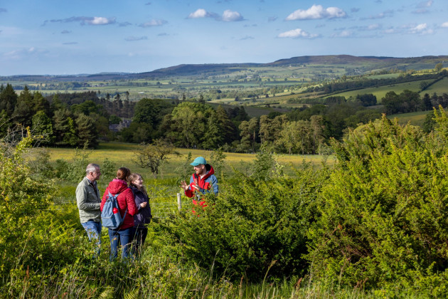 People standing in a wide green valley