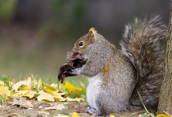 event_description_image_179793_1764086478_4ee84.png?_a=BAAE6HDQ