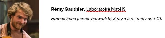 Remy Gauthier