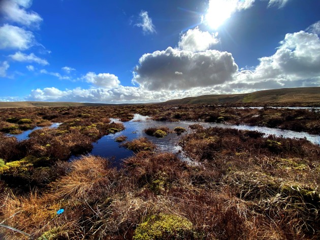 Sunny view across Waun Figyn