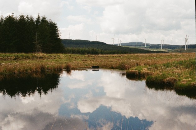 Pond with wind turbines in the background