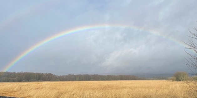 rainbow