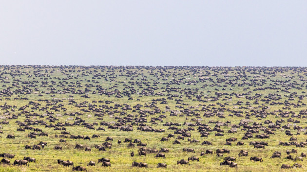 event_description_image_33168_1768069377_01f3c.jpg?_a=BAAE6HDQ
