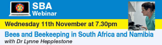 Blue and Yellow banner with a laptop SBA Webinar title and picture of Lynne Hepplestone