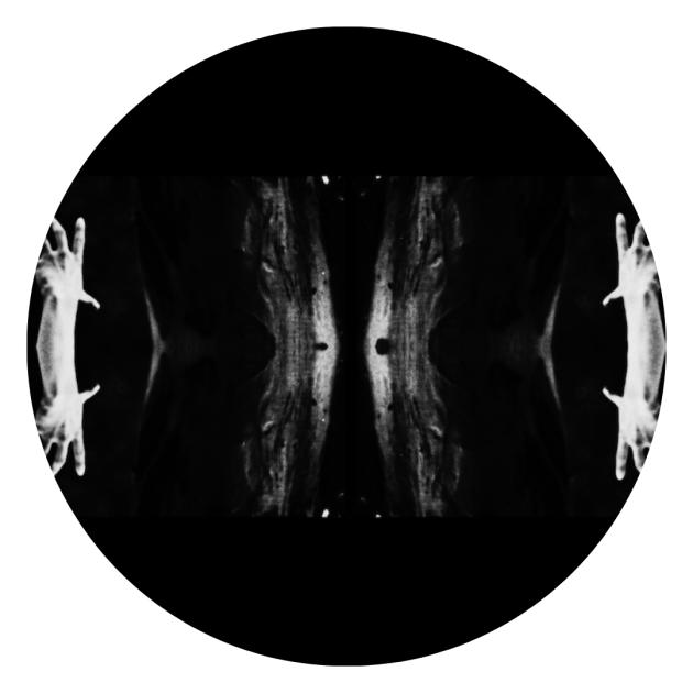 a subconscious return toward the spaces within your bodily memory film still.