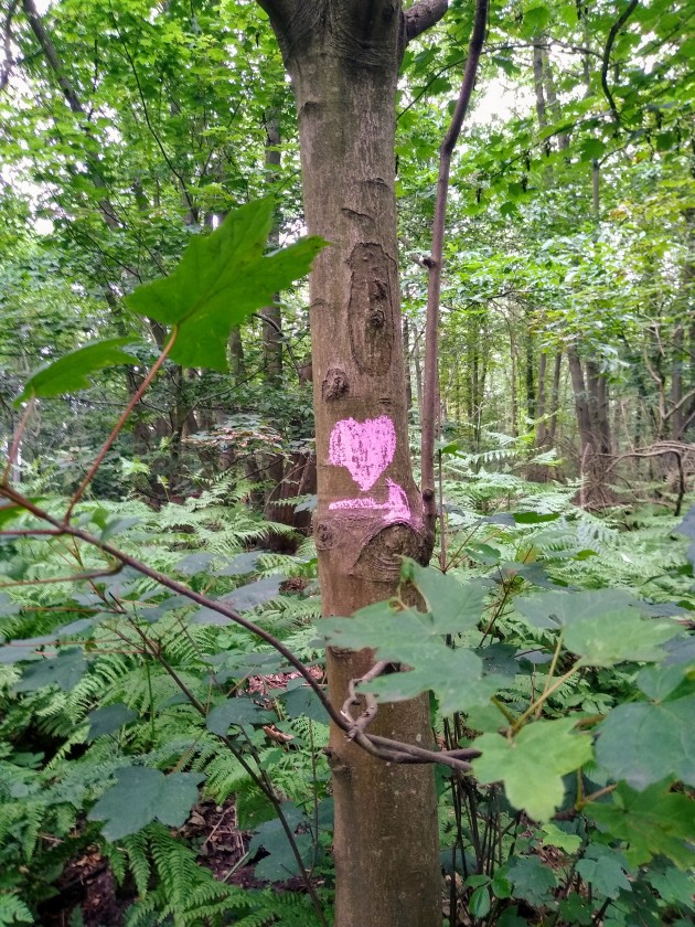 event_description_image_89647_1771519759_ba85e.jpg?_a=BAAE6HDQ