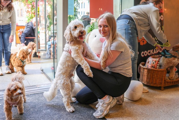 BUY TICKETS NOW – Cockapoo Cafe - Bristol – Slug and Lettuce