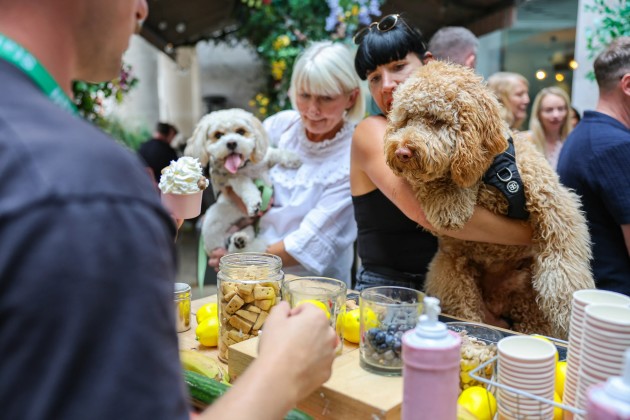 event_description_image_99141_1767952068_959b9.jpeg?_a=BAAE6HDQ