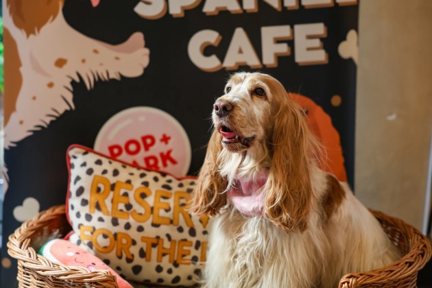 event_description_image_99141_1767953608_c1ff6.jpeg?_a=BAAE6HDQ