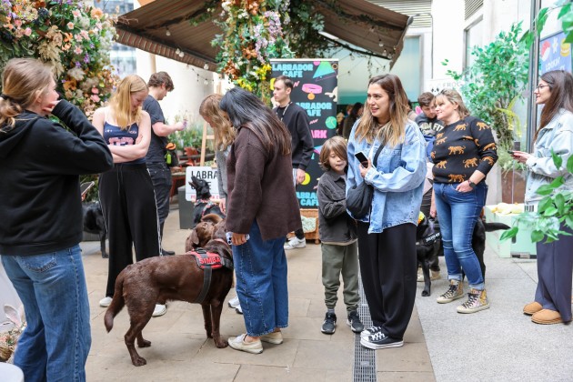 BUY TICKETS NOW – Labrador Cafe - Norwich – The Lamb Inn