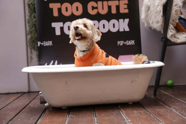 event_description_image_99141_1788860354_ba4ae.jpeg?_a=BAAHWXDQ