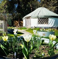 Autumn Vagus Nerve Reset Day Retreat image