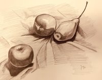 Observational Drawing for Beginners image